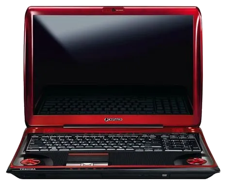 Qosmio X300